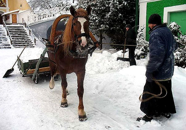 Жизнь обители