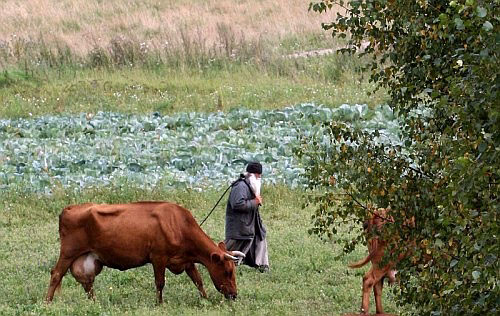 Жизнь обители