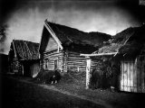 Изба крестьянина Савойкина, умершего от голода, в городе Лукоянове 1891-92