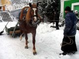 Жизнь обители