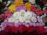 Успение_Богородицы_30